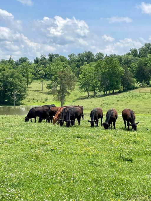 Bourbon Trail: Caboose On The Farm Βίλα Lawrenceburg Εξωτερικό φωτογραφία
